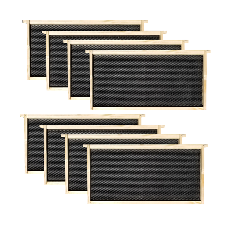 Load image into Gallery viewer, 8 Frame Complete Beehive Kit – Fully Assembled &amp; Painted (1 Deep Box) Amish-Made with Frames &amp; Wax-Coated Foundations
