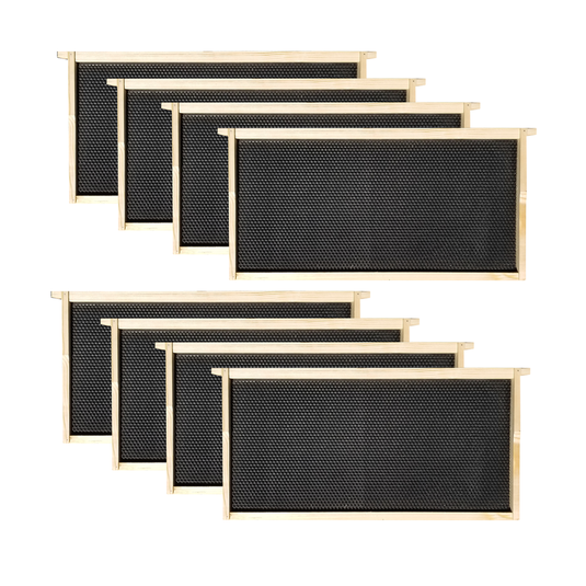8 Frame Complete Beehive Kit – Unassembled (1 Deep Box) Amish-Made with Frames & Wax-Coated Foundations
