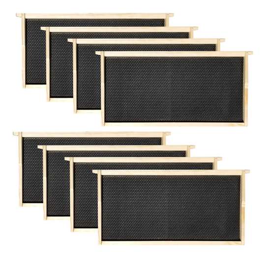 Nubee 8 Frame Beehive - (2)Deeps & (4)Mediums