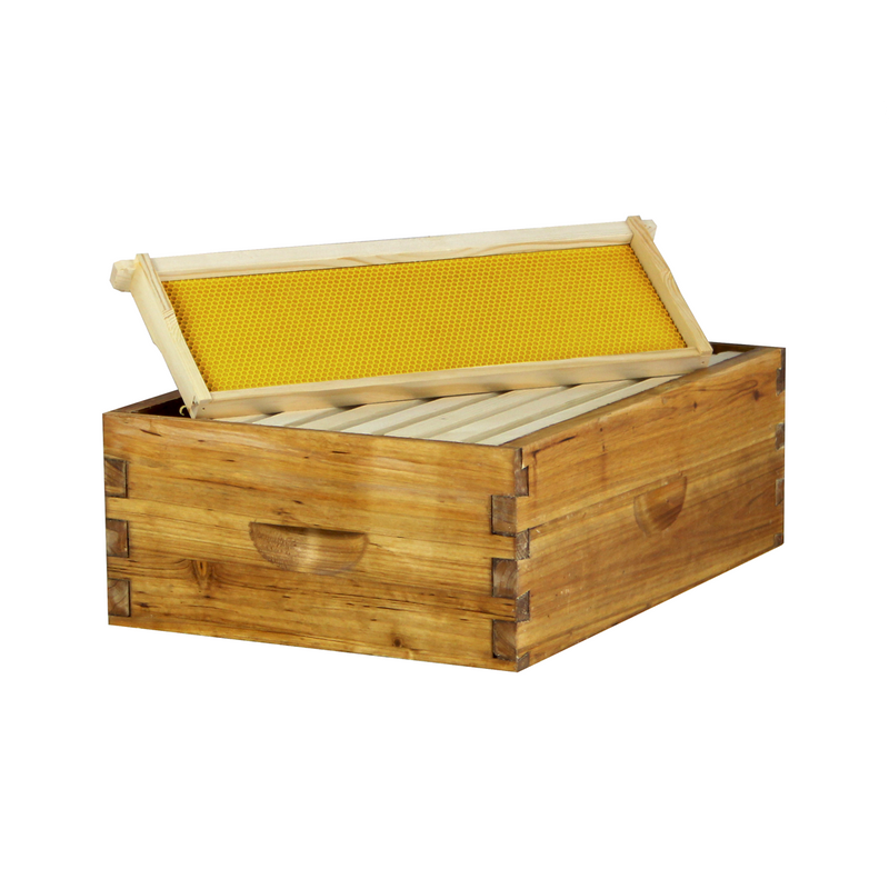 Load image into Gallery viewer, Hoover Hives 8-Frame &amp; 10-Frame Medium Super Box – Wax-Dipped Fir Wood for Honey Storage
