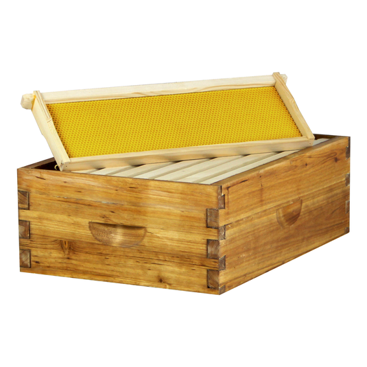 Wax-Coated 8 Frame Beehive - (2)Deeps & (4)Mediums