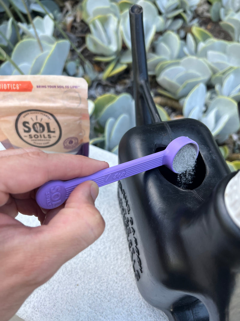 Load image into Gallery viewer, Sol Biotics Purple Powder Spoon - 1 Teaspoon
