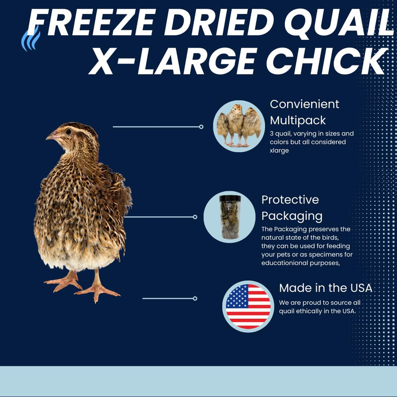 Load image into Gallery viewer, Buddy's Pretty Birds Whole Quail Chicks XL, 3 Count
