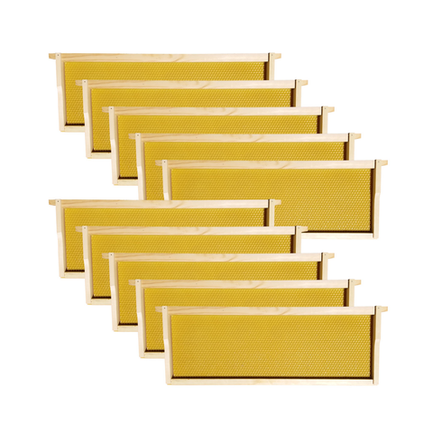 Medium super box, frames detail
