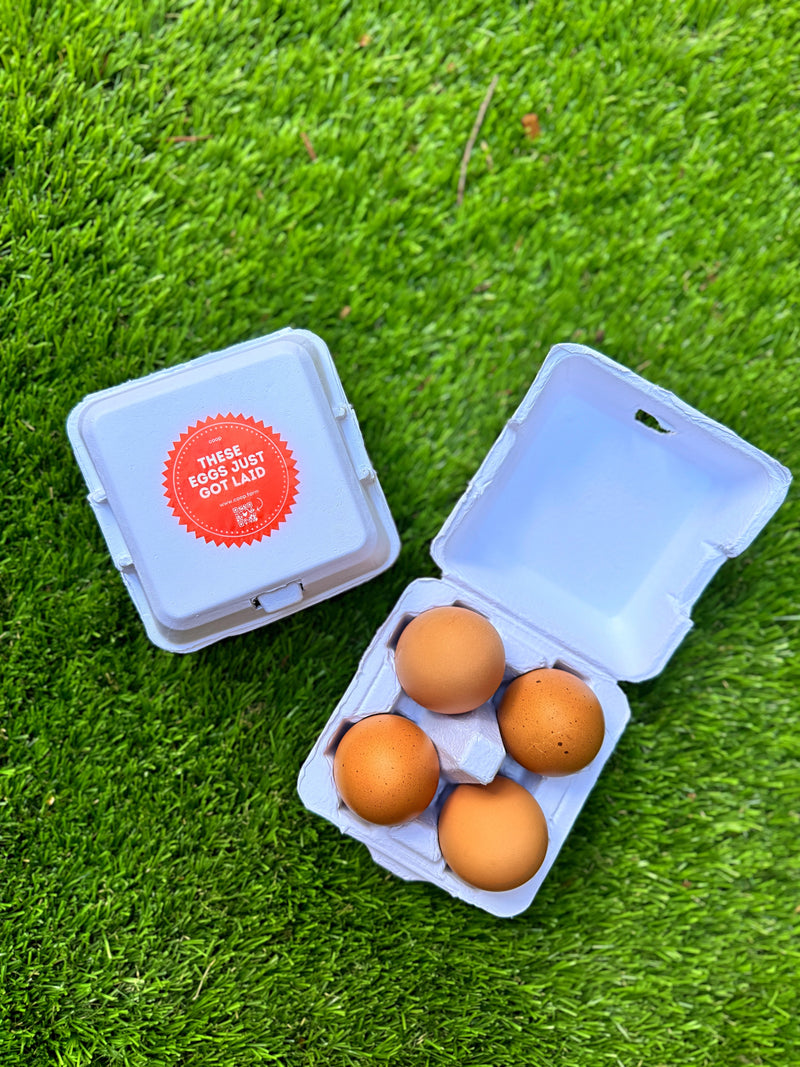 Load image into Gallery viewer, "Just Got Laid" 4-Egg Carton
