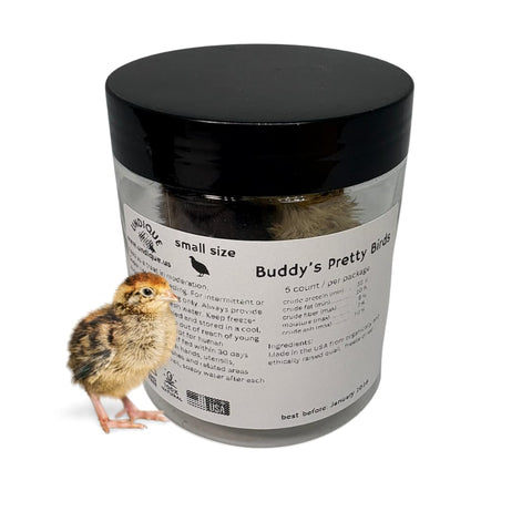 Whole quail for carnivore pets, freeze-dried, 5-count packaging