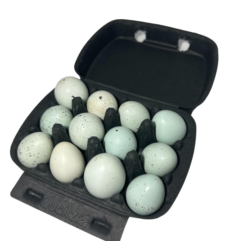 Load image into Gallery viewer, Hollowed Celadon Quail Eggs (Count of 10) Empty Natural Eggs for Crafts
