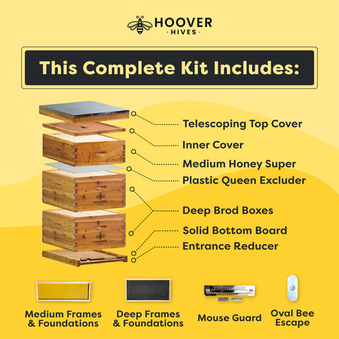 Hoover Hives beehive kit, box detail