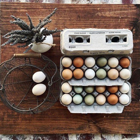 Henlay blank stamping egg cartons