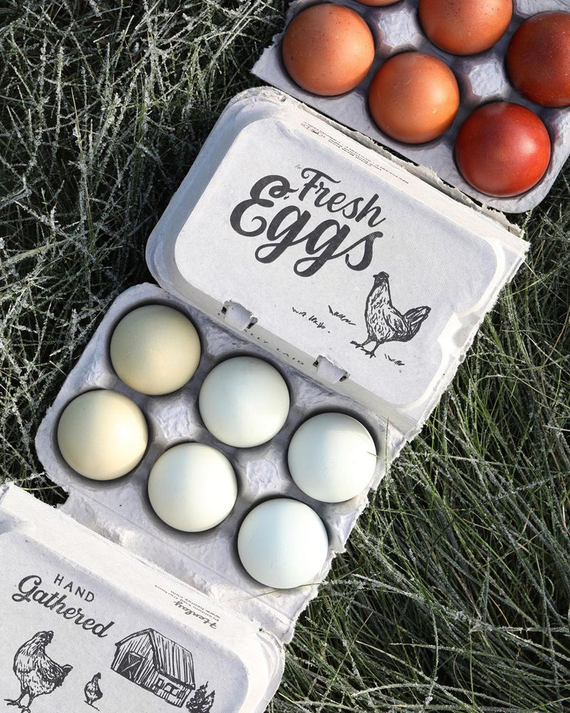 Load image into Gallery viewer, Henlay Split-Apart 6 or 12 Egg Cartons shown in product view 6
