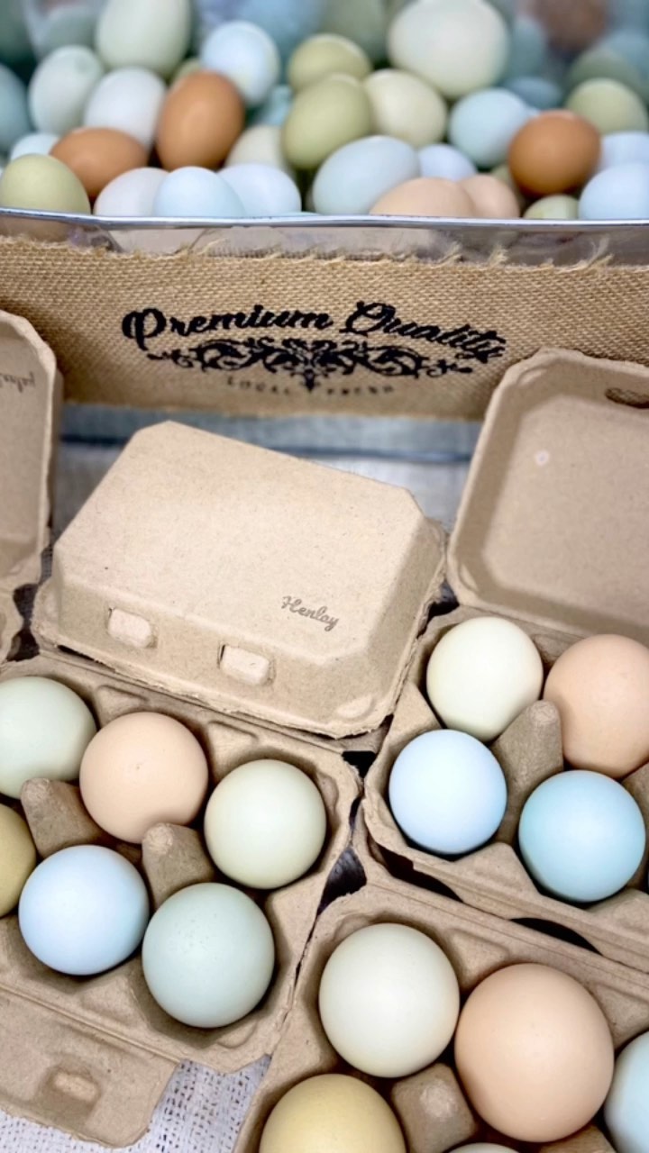 Load image into Gallery viewer, Half Dozen Egg Cartons - Henlay Blank Flat Top, Six Pack, 2 colors, 20 or 100
