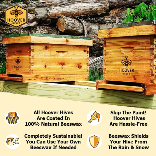 Wax-Coated 10 Frame Beehive - (2)Deeps & (1)Medium (Fully Assembled)