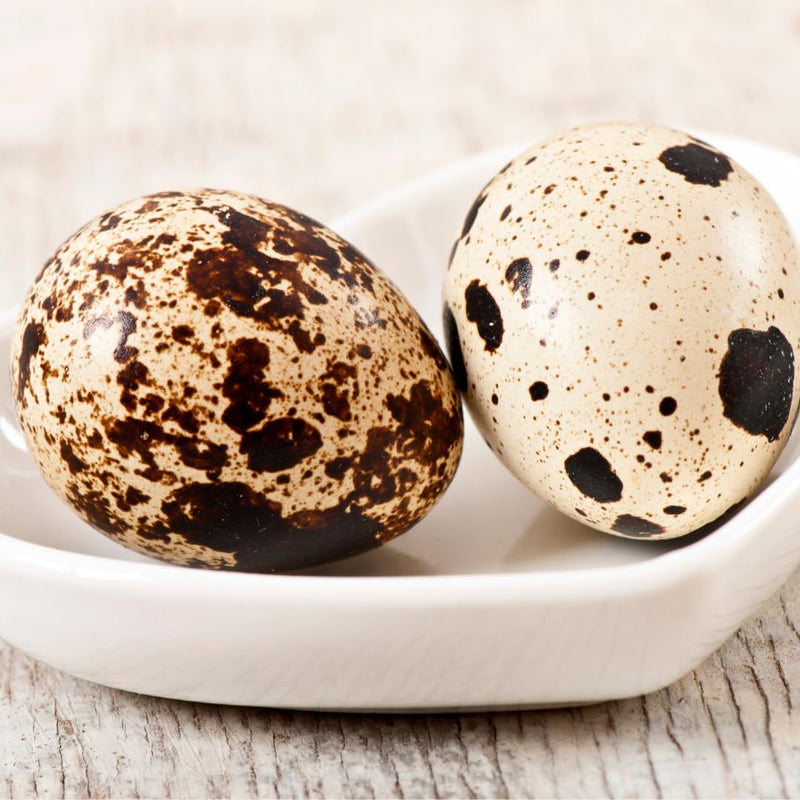 Load image into Gallery viewer, Empty Whole Eggshells Quail Eggs Hollowed - Set of 10 Cleaned Hollow Quail Eggs Perfect for Crafting and Decoration
