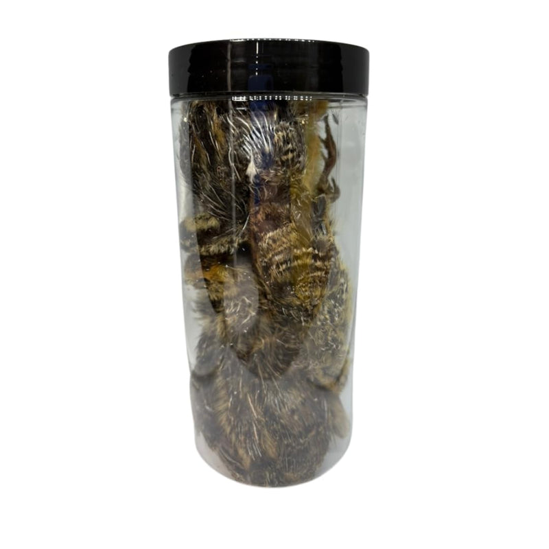 Load image into Gallery viewer, Bird Dog Training Quail - Premium Freeze-Dried Whole Quail for Dogs 5ct, Large (Chick) - Natural Prey Feeding Quality Protein Pet Treats
