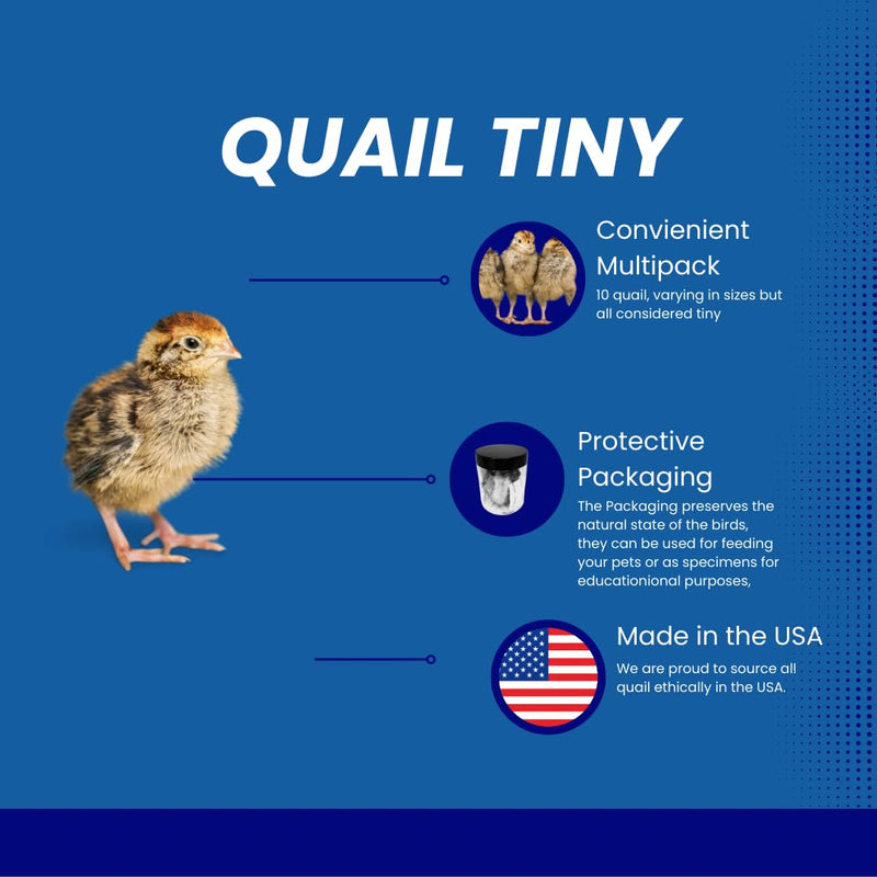 Load image into Gallery viewer, Quail Whole Chick Treats, 10 Count - Tiny, dehydrated Small Premium cat and Dog Treat
