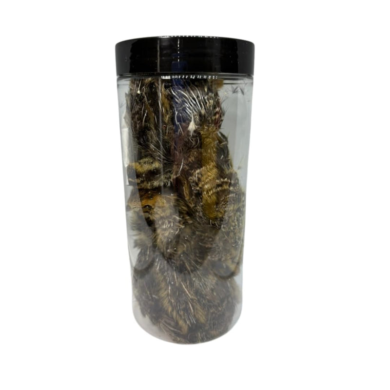 Load image into Gallery viewer, Bird Dog Training Quail - Premium Freeze-Dried Whole Quail for Dogs 5ct, Large (Chick) - Natural Prey Feeding Quality Protein Pet Treats

