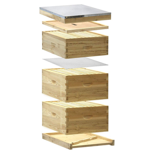 NuBee 10-Frame Complete Beehive Kit – Fully Assembled & Painted (2 Deep + 1 Medium Boxes) with Frames & Wax-Coated Foundations | Langstroth Hive