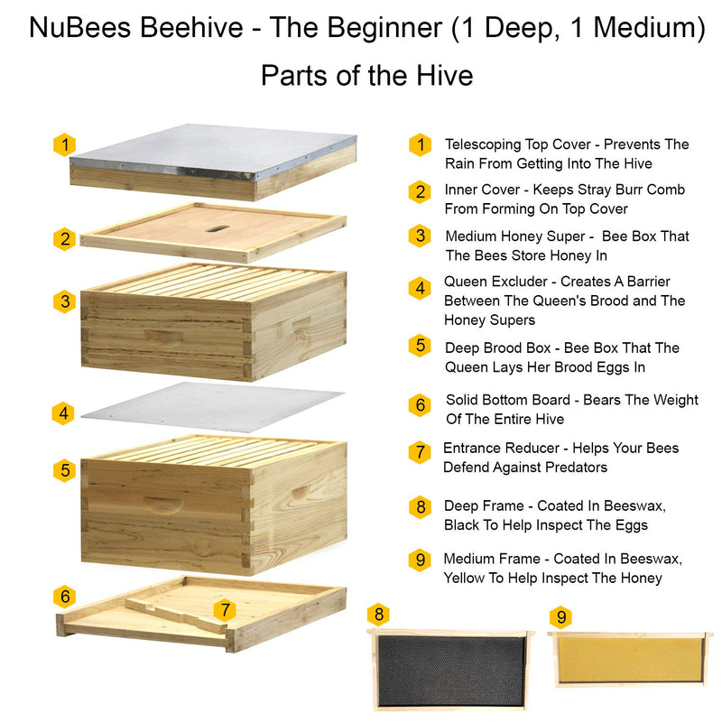 Load image into Gallery viewer, NuBee 8-Frame Beehive Kit – Unassembled (1 Deep + 1 Medium Box) with Frames &amp; Wax-Coated Foundations | Lightweight Langstroth Hive
