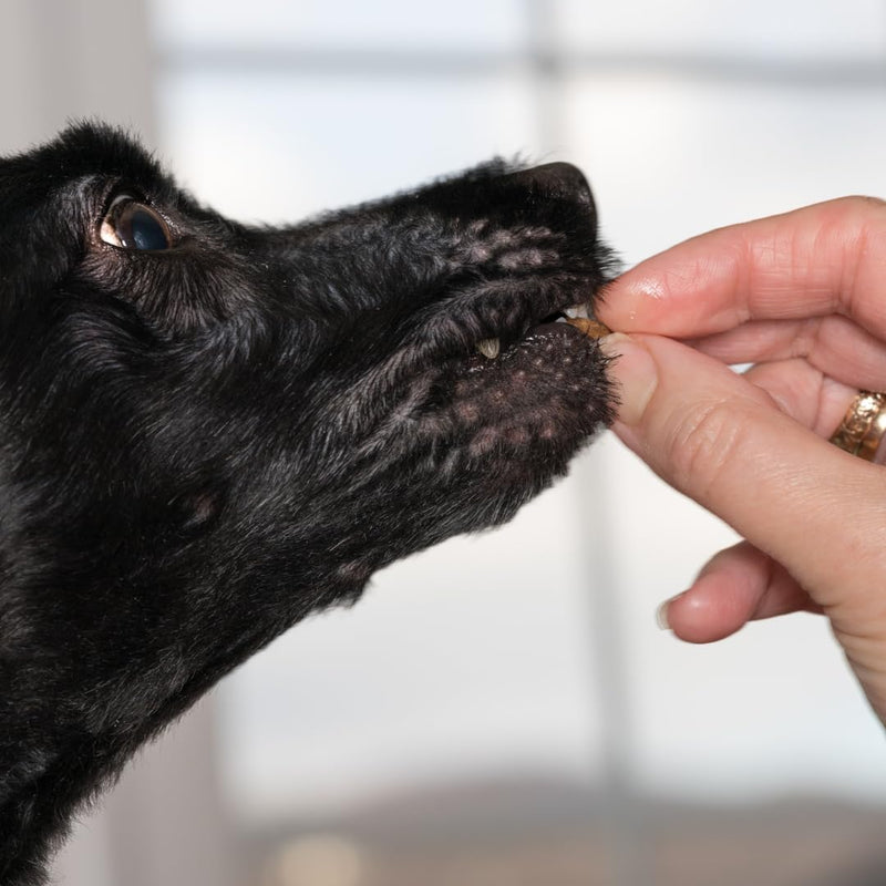 Load image into Gallery viewer, Quail Crunch Bites Dog Treats — Dehydrated Quail Meat &amp; Shells
