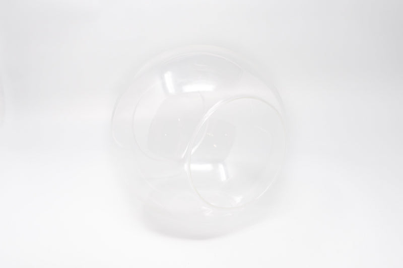 Load image into Gallery viewer, Large Hand-Blown Glass Terrarium with Tillandsia Red Abdita &amp; Ionantha Guatemala
