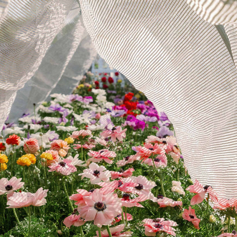Greenhouse Aluminum White Shade Cloth- 50%, additional product view 2