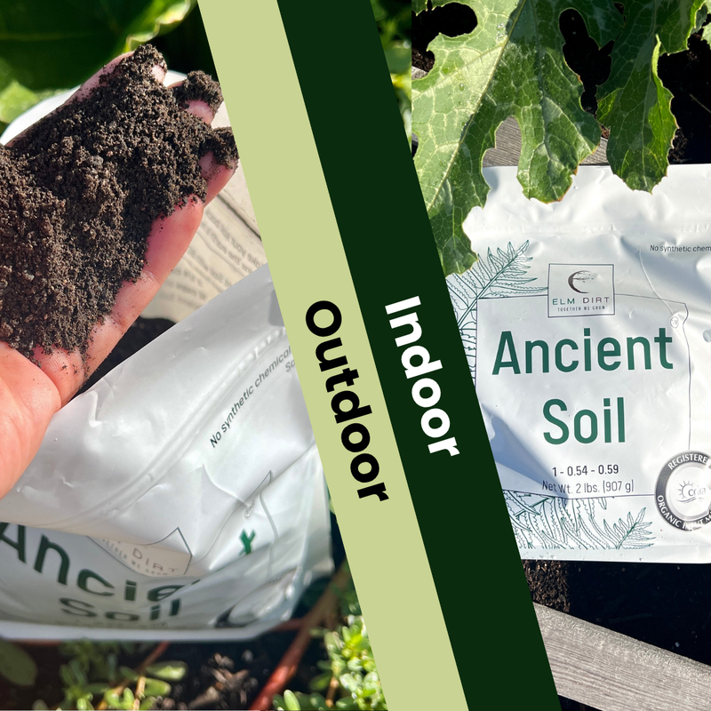 Load image into Gallery viewer, Ancient Soil Organic Living Soil
