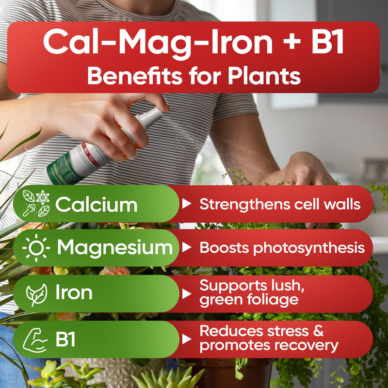 Load image into Gallery viewer, Hormex Mother Mist - Cal-Mag-Iron + B1 Misting Spray for All Plant Varieties - Boost Growth, Strengthen Plants &amp; Improve Cloning Success - Nutrient Mist for Houseplants, Flowers, Vegetables &amp; More
