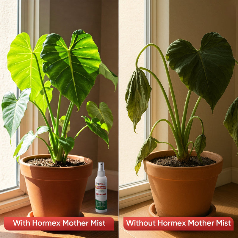 Load image into Gallery viewer, Hormex Mother Mist - Cal-Mag-Iron + B1 Misting Spray for All Plant Varieties - Boost Growth, Strengthen Plants &amp; Improve Cloning Success - Nutrient Mist for Houseplants, Flowers, Vegetables &amp; More
