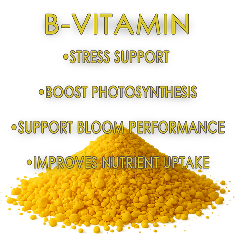 RAW B-Vitamin | 1% Vitamin B1 + 9% Magnesium | Water-Soluble Plant Supplement, additional product view 2