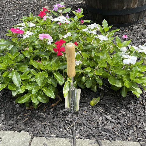 Stainless Steel Transplanter Trowel (classic wood handle), additional product view 2