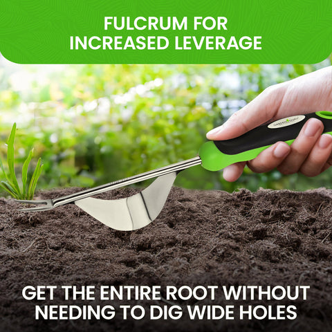 Stainless Steel Garden Dandelion Weeder, additional product view 2