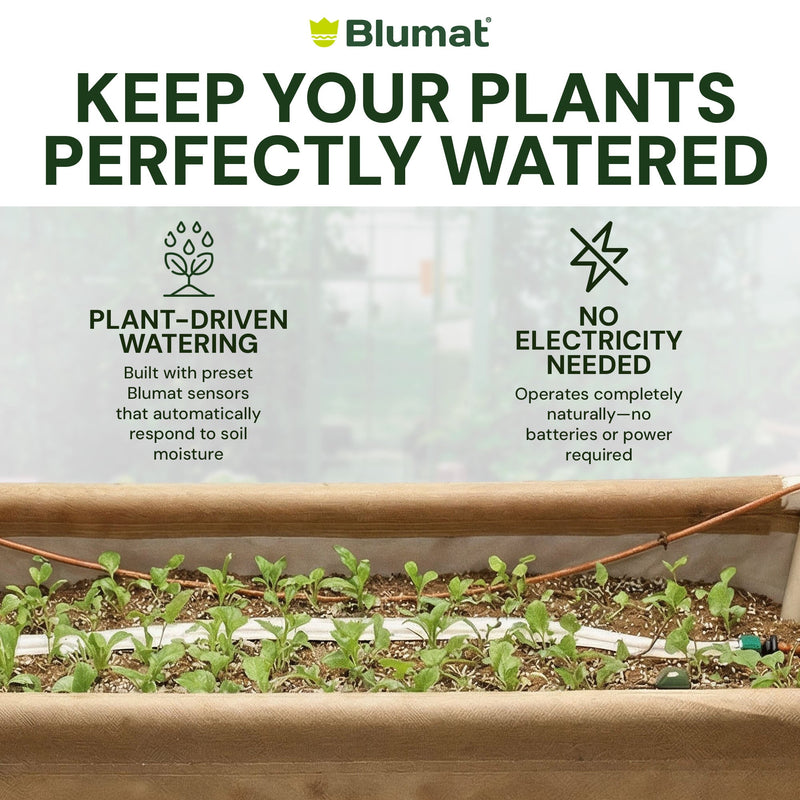 Load image into Gallery viewer, Preset Blumat Grow Tent Irrigation Kit
