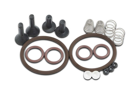 TRS21 and BVV butane recovery pump valve rebuild kit