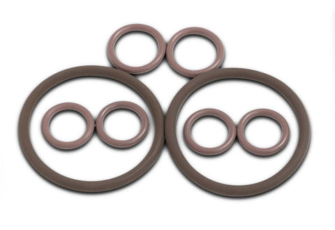 TRS21 Valve Head Complete Viton O-Ring Kit