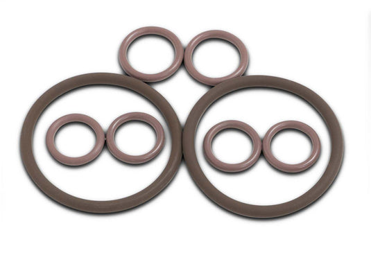 TRS21 Valve Head Complete Viton O-ring Kit