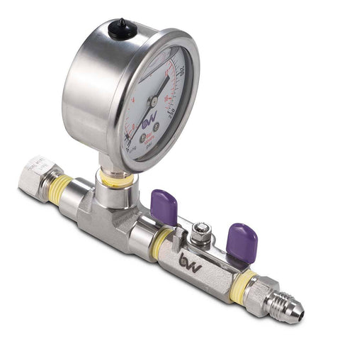 Valve and gauge adapter