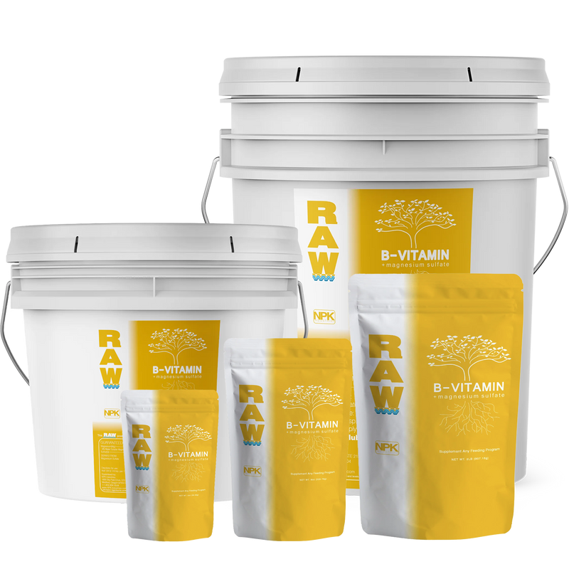 Load image into Gallery viewer, RAW B-Vitamin | 1% Vitamin B1 + 9% Magnesium | Water-Soluble Plant Supplement
