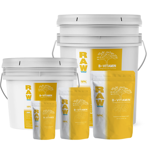 RAW B-Vitamin water soluble supplement package
