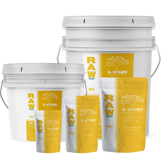 RAW B-Vitamin | 1% Vitamin B1 + 9% Magnesium | Water-Soluble Plant Supplement
