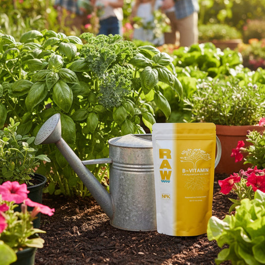 RAW B-Vitamin | 1% Vitamin B1 + 9% Magnesium | Water-Soluble Plant Supplement