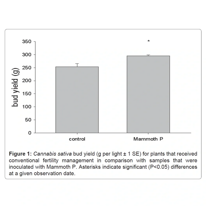 Load image into Gallery viewer, Mammoth P Active Microbials
