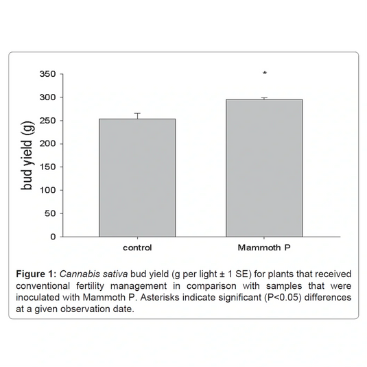 Mammoth P Active Microbials
