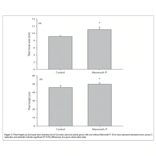 Mammoth P Active Microbials