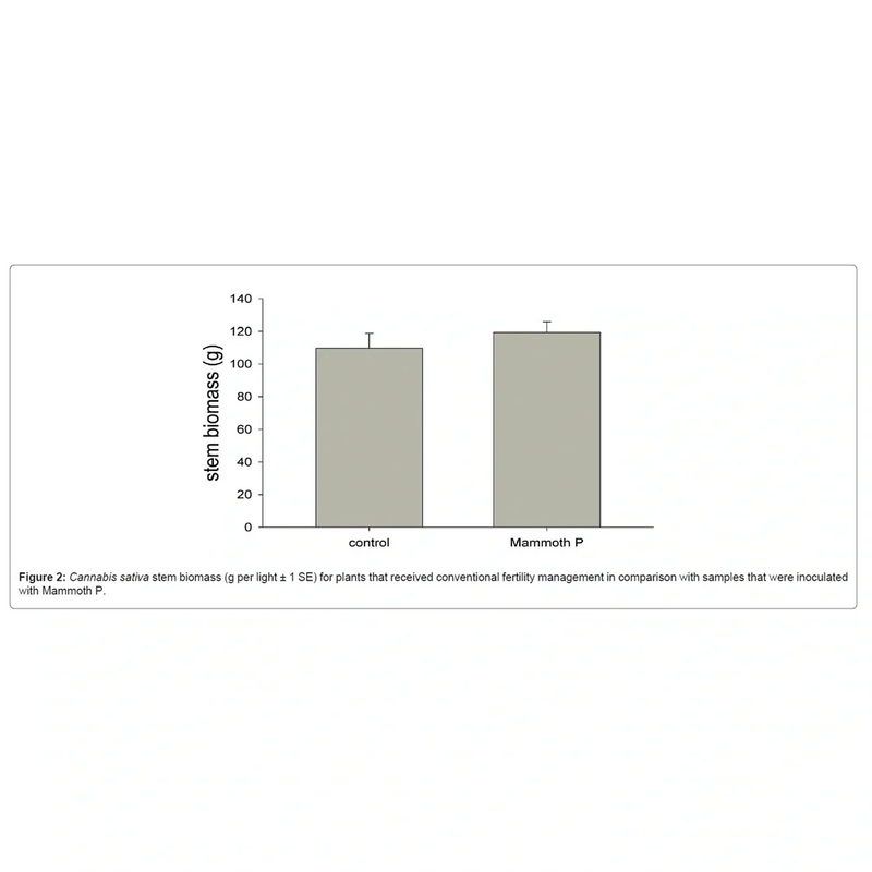 Load image into Gallery viewer, Mammoth P Active Microbials
