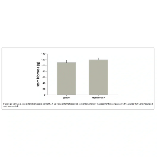 Mammoth P Active Microbials