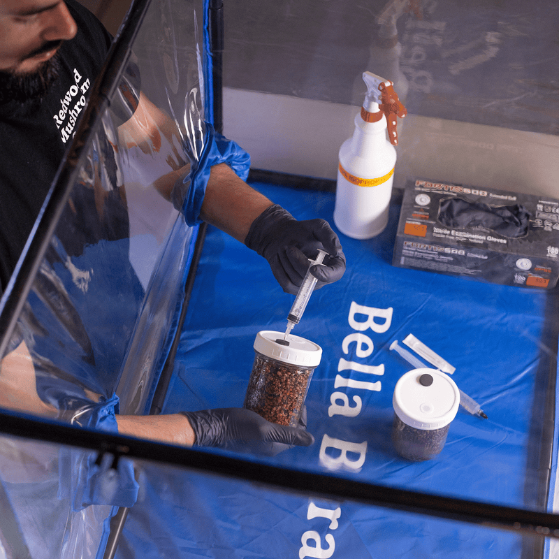 Load image into Gallery viewer, Bella Bora Still Air Box
