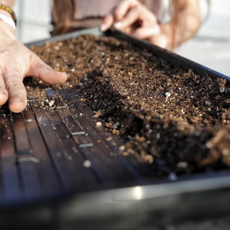Load image into Gallery viewer, 1020 Microgreen Trays | Extra Strength Shallow 1020 Trays
