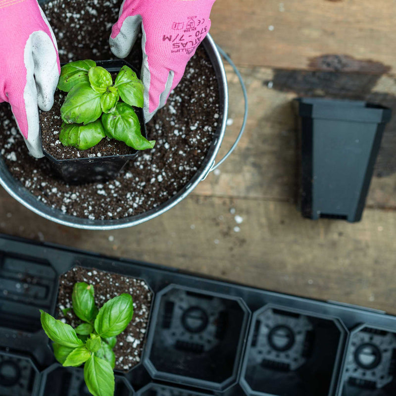 Load image into Gallery viewer, 3.3" Heavy Duty Seed Starting Pots with Inserts
