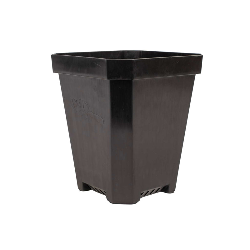 Load image into Gallery viewer, 5" Nursery Pots with Insert Tray
