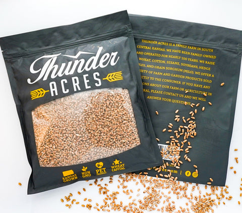 Non-GMO wheat seed for growing wheatgrass or cat grass.